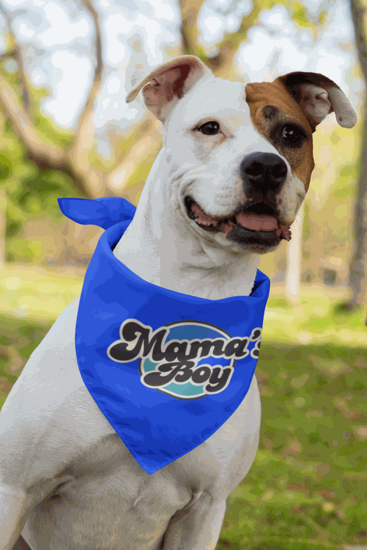 MAMA'S Fashionable Satin Charmeuse Pet Bandanas for Pets