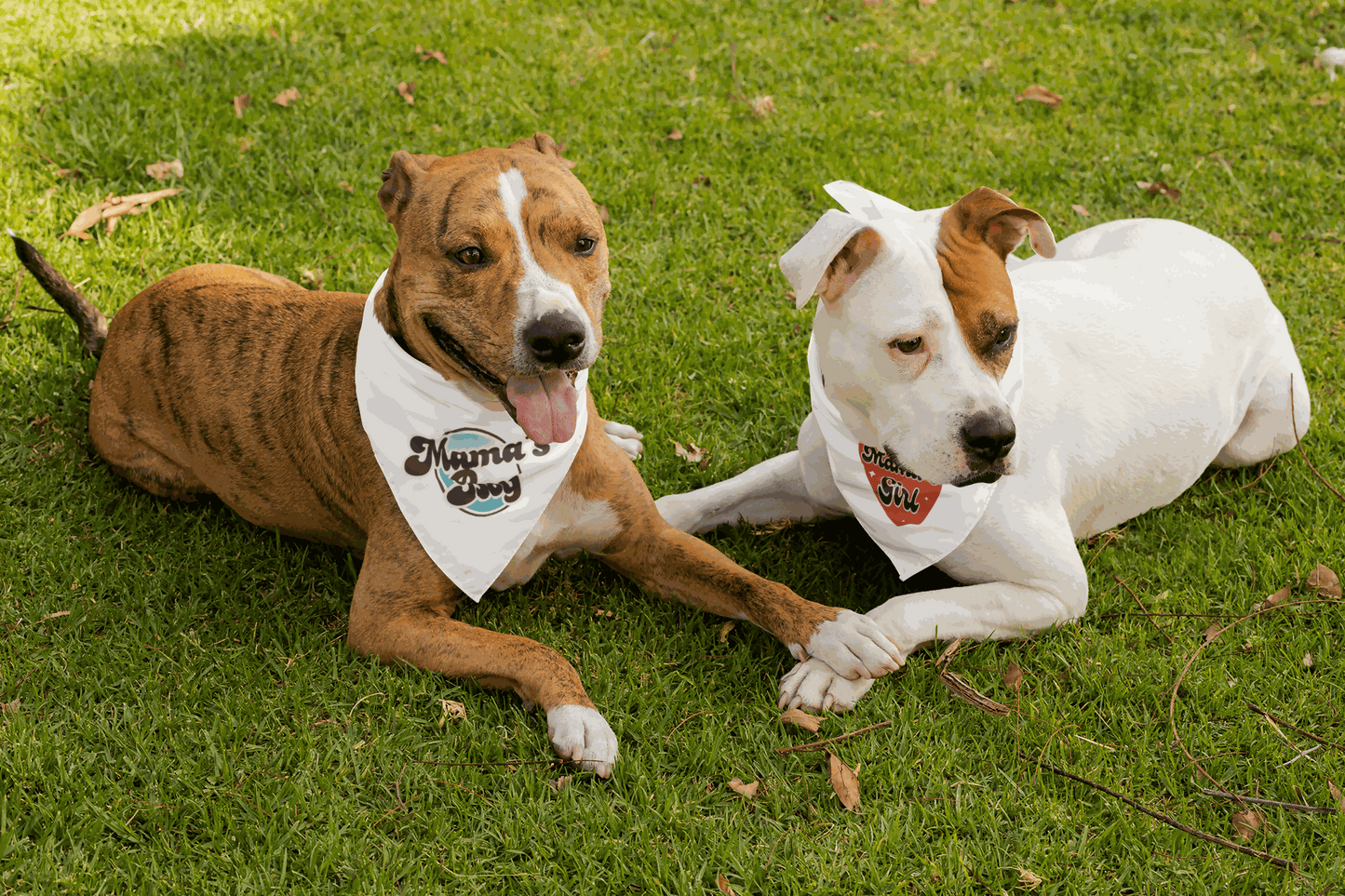 MAMA'S Fashionable Satin Charmeuse Pet Bandanas for Pets